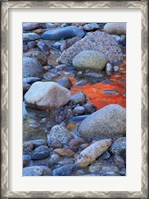 Framed Fall Colors Reflect in Saco River, New Hampshire