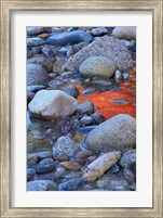 Framed Fall Colors Reflect in Saco River, New Hampshire
