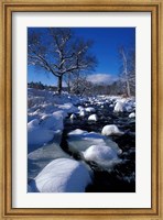 Framed Wildcat River, New Hampshire