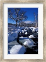 Framed Wildcat River, New Hampshire