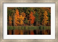 Framed Wetlands in Fall, Peverly Pond, New Hampshire