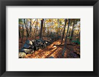 Framed Stone Wall, Nature Conservancy Land Along Crommett Creek, New Hampshire