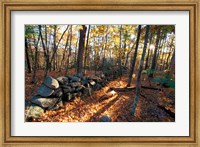 Framed Stone Wall, Nature Conservancy Land Along Crommett Creek, New Hampshire