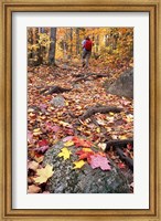 Framed Hiking Sugarloaf Trail, White Mountain National Forest, Twin Mountain, New Hampshire