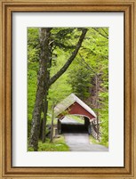 Framed Flume Covered Bridge, Pemigewasset River, Franconia Notch State Park, New Hampshire