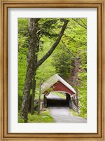 Framed Flume Covered Bridge, Pemigewasset River, Franconia Notch State Park, New Hampshire