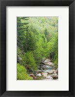 Framed Spring on the Pemigewasset River, Flume Gorge, Franconia Notch State Park, New Hampshire