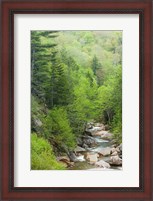 Framed Spring on the Pemigewasset River, Flume Gorge, Franconia Notch State Park, New Hampshire