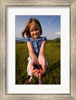 Framed Child, blueberries, Alton, New Hampshire