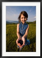 Framed Blueberries, Alton, New Hampshire