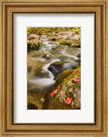 Framed stream in fall, Grafton, New Hampshire