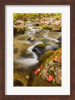 Framed stream in fall, Grafton, New Hampshire