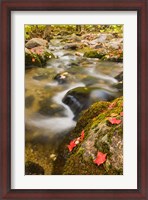 Framed stream in fall, Grafton, New Hampshire