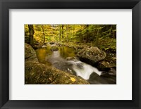 Framed Autumn stream in Grafton, New Hampshire