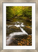 Framed Autumn stream, Grafton, New Hampshire