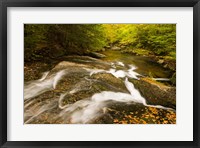 Framed Autumn stream, New Hampshire