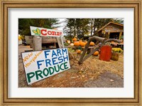 Framed Farm stand in Holderness, New Hampshire