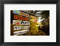 Framed farm stand, Holderness, New Hampshire