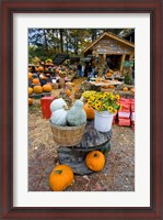 Framed farm stand in Holderness, New Hampshire