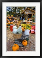 Framed farm stand in Holderness, New Hampshire
