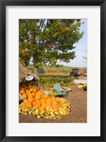 Framed Gourds at the Moulton Farmstand, Meredith, New Hampshire