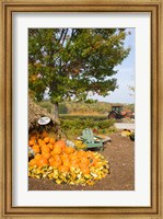 Framed Gourds at the Moulton Farmstand, Meredith, New Hampshire