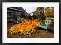Framed Gourds at the Moulton Farm farmstand in Meredith, New Hampshire