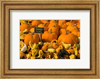 Framed Gourds at the Moulton Farm, Meredith, New Hampshire