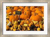 Framed Gourds at the Moulton Farm, Meredith, New Hampshire