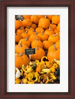 Framed Gourds, Meredith, New Hampshire
