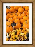 Framed Gourds, Meredith, New Hampshire