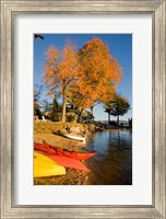 Framed Kayaks, Lake Winnipesauke, New Hampshire