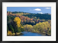Framed Fall along the Connecticut River in Colebrook, New Hampshire