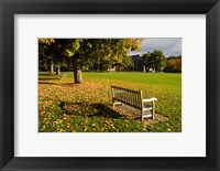 Framed Dartmouth College Green in Hanover, New Hampshire