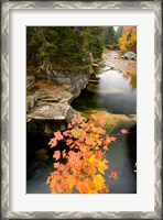 Framed Upper Falls on the Ammonoosuc River, White Mountains, New Hampshire