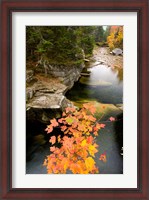 Framed Upper Falls on the Ammonoosuc River, White Mountains, New Hampshire