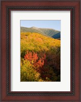 Framed Mount Lafayette in fall, White Mountain National Forest, New Hampshire