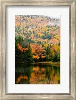 Framed Ammonoosuc Lake in fall, White Mountain National Forest, New Hampshire