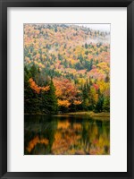 Framed Ammonoosuc Lake in fall, White Mountain National Forest, New Hampshire