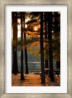 Framed Sunset, Pawtuckaway Lake, New Hampshire