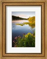 Framed Androscoggin River, Errol, New Hampshire