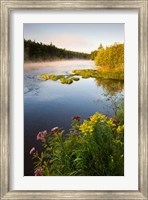 Framed Androscoggin River, Errol, New Hampshire