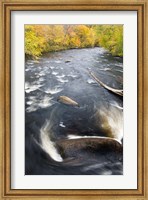 Framed Ashuelot River, New Hampshire