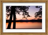 Framed White Lake State Park, New Hampshire