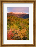 Framed Mt Lafayette in Autumn, New Hampshire