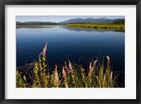 Framed Big Cherry Pond, New Hampshire