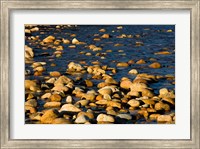 Framed Saco River, White Mountains, New Hampshire