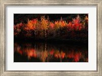 Framed Fall Foliage with Reflections, New Hampshire