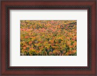 Framed New Hampshire, White Mountains, Autumn