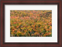 Framed New Hampshire, White Mountains, Autumn